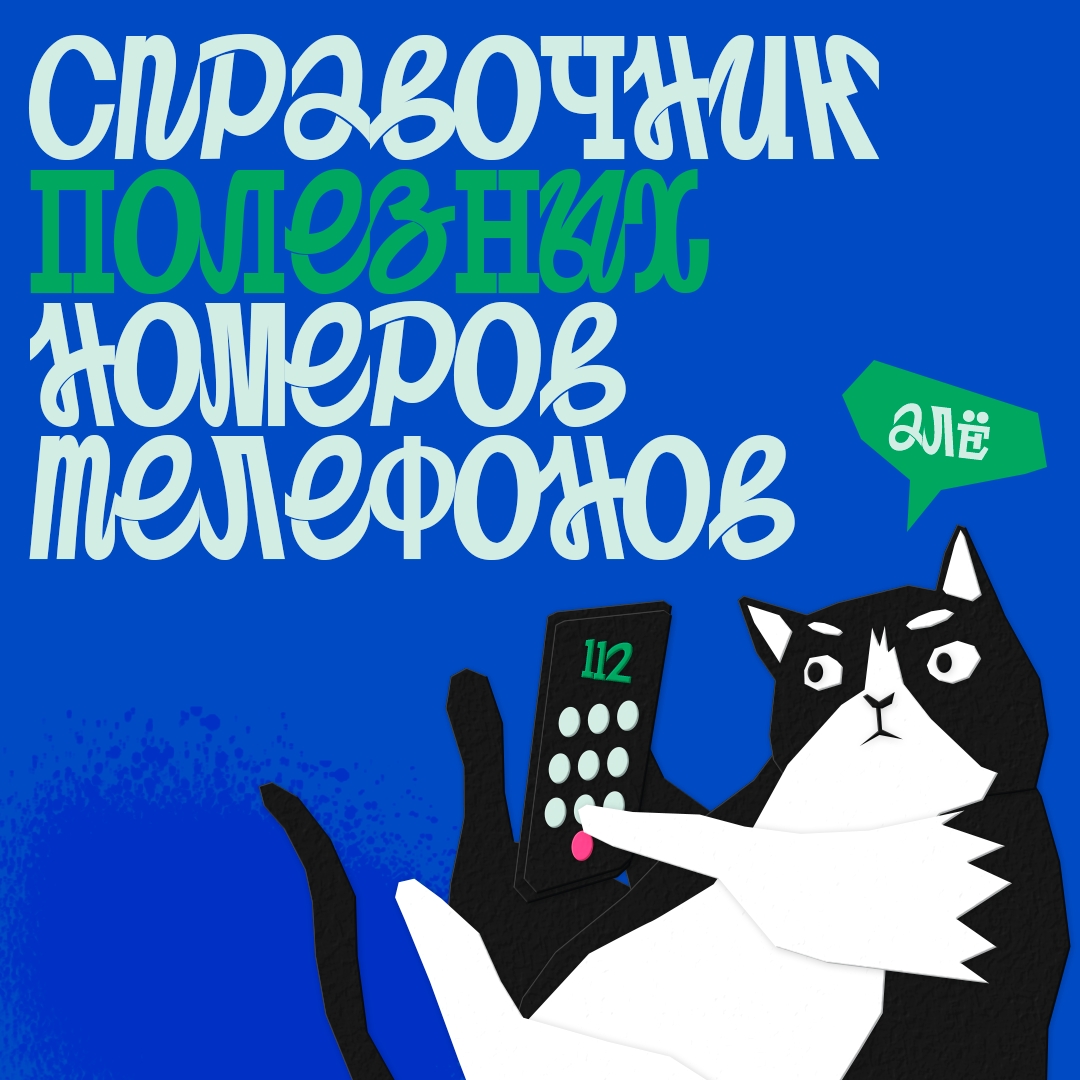 Срочно нужна помощь врачей, полицейских или пожарных?
Рассказываем, куда звонить, если что-то случил...