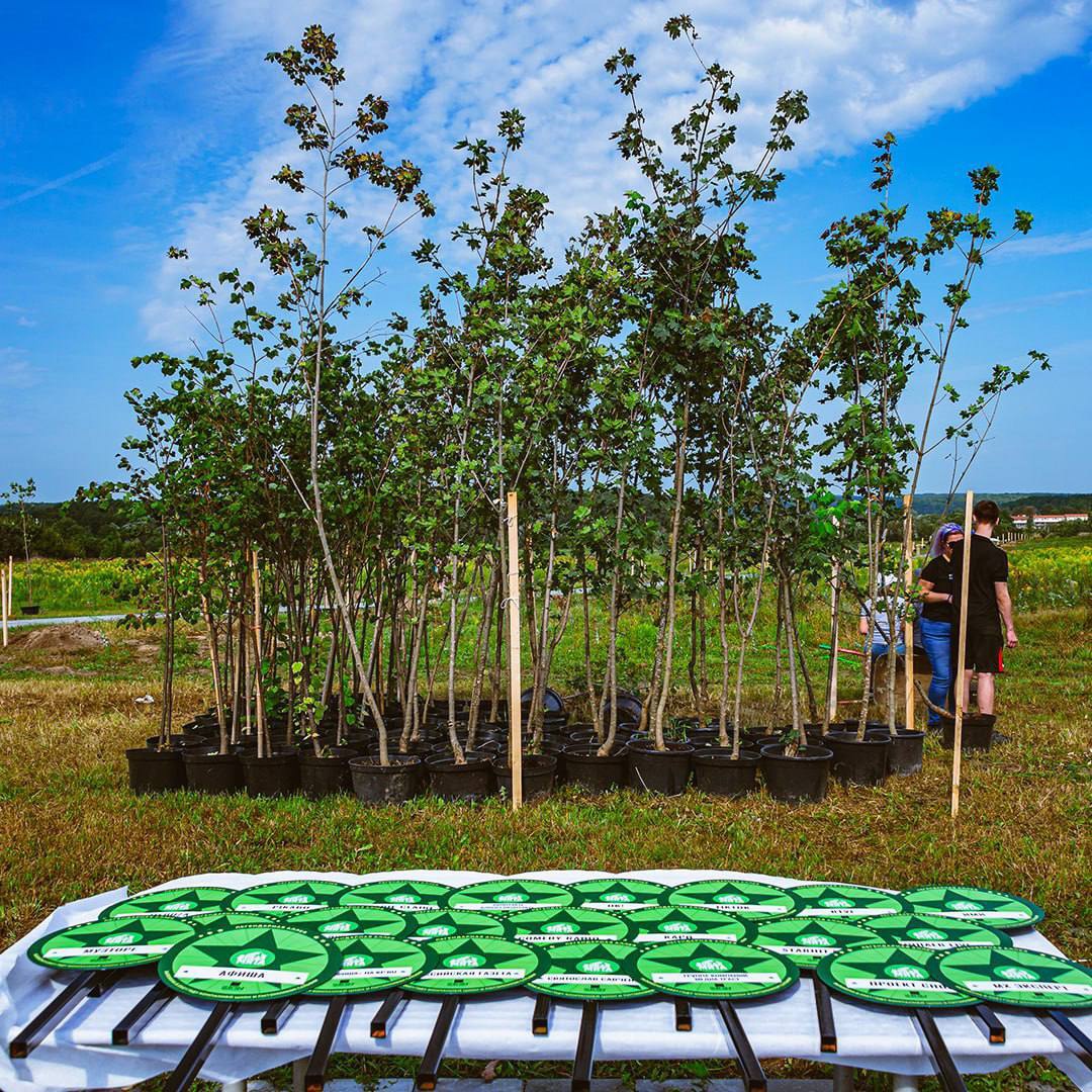 🌳 В арт-кэмпе «Дикая Мята» пройдёт экологическая акция «День Дерева»

В 2021 году на территории кэмп...