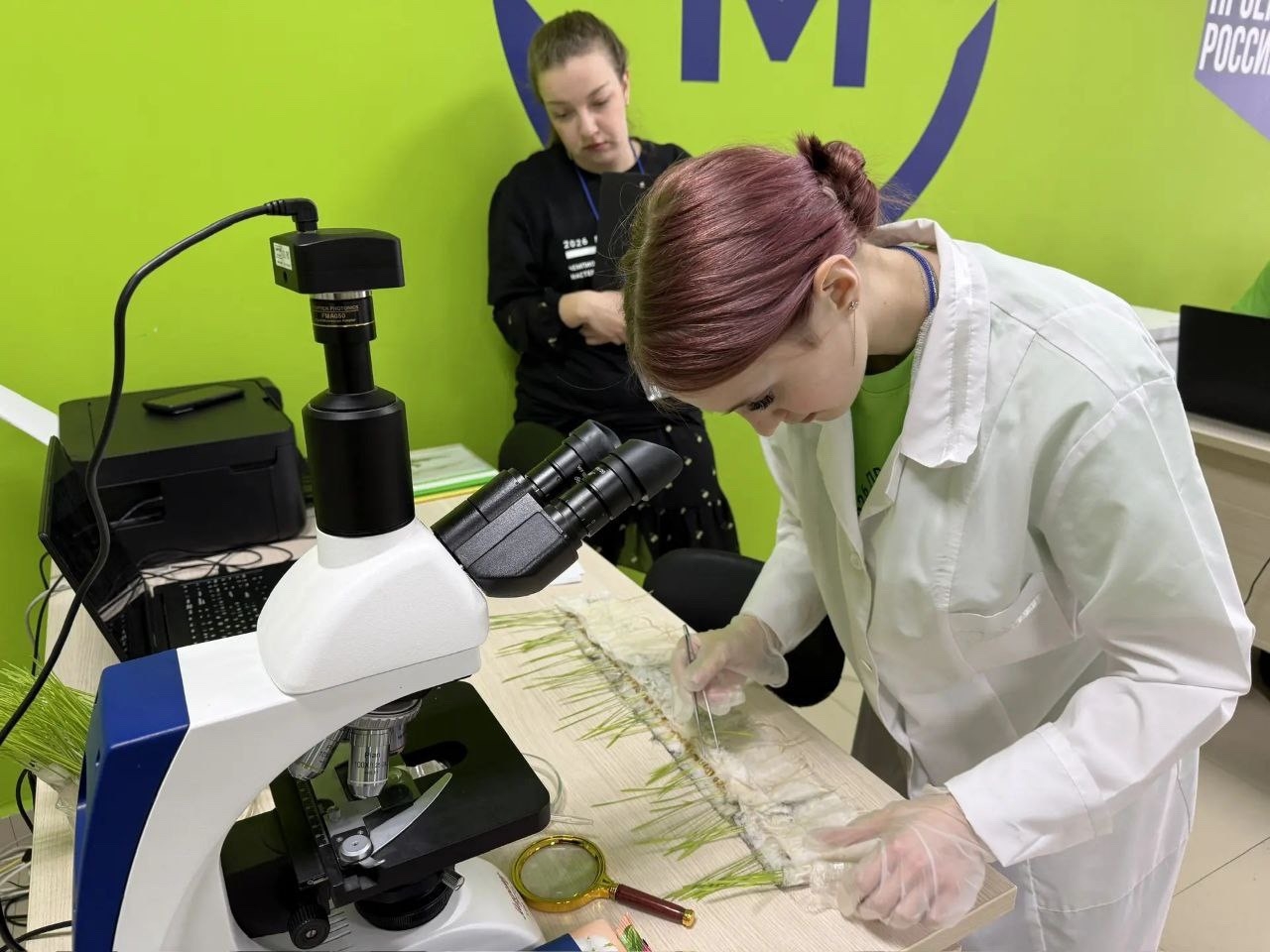 11 февраля 2026 года на площадке ГПОУ «ТСХК им. И.С. Ефанова» стартовал первый конкурсный день регио...